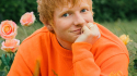 CMU Digest 13.03.22: Ed Sheeran, Ukraine response, Katy Perry, RIAA, TikTok
