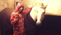 Dappy & His Horse